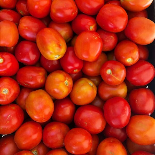 Passata di Pomodoro Siccagno